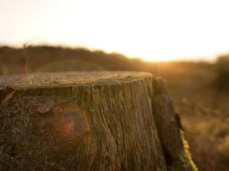 sudoku portrait mode screenshot 1